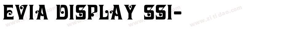 Evia Display SSi字体转换